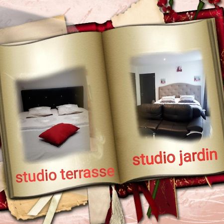 Au Paradis Des Crins Studio Rez De Chaussee Avec Jardin Et Un Autre Studio En Duplex Avec Terrasse Apartment Templeuve-en-Pevele ภายนอก รูปภาพ