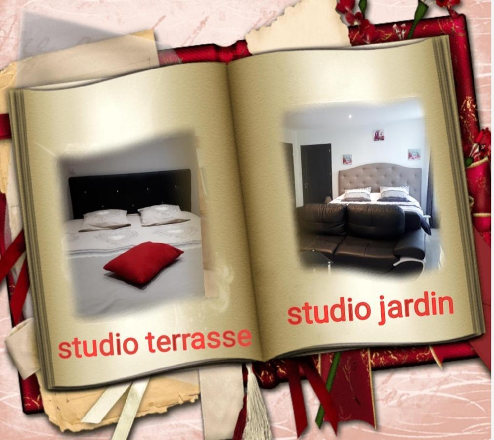 Au Paradis Des Crins Studio Rez De Chaussee Avec Jardin Et Un Autre Studio En Duplex Avec Terrasse Apartment Templeuve-en-Pevele ภายนอก รูปภาพ