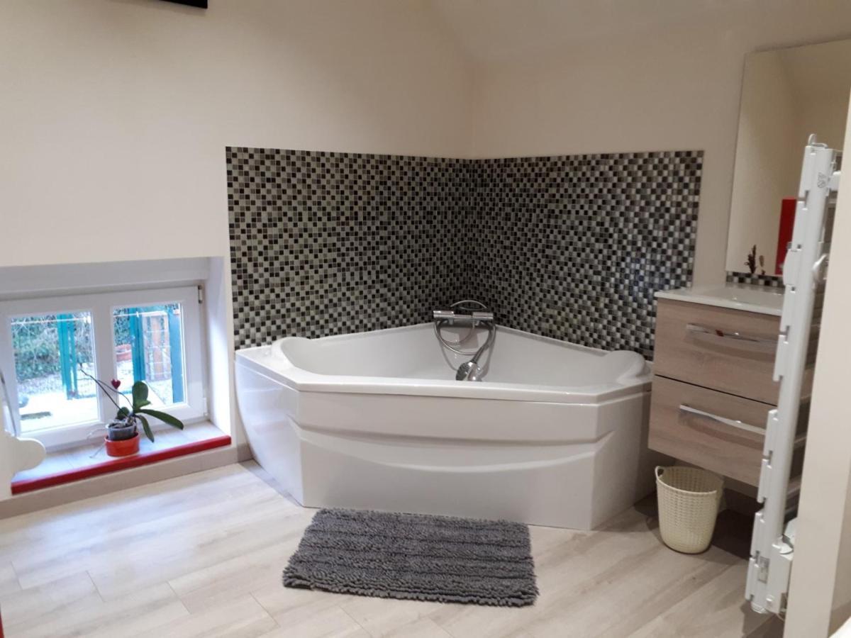 Au Paradis Des Crins Studio Rez De Chaussee Avec Jardin Et Un Autre Studio En Duplex Avec Terrasse Apartment Templeuve-en-Pevele ภายนอก รูปภาพ